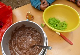 Aus Schokolade und Fichtentrieben werden leckere Waldpralinen!