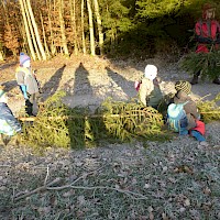 Christbaumtransport