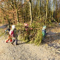 Der Wald ist groß, da kann man gut einen zweiten Christbaum gebrauchen.