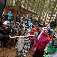 Auch Zebras können Ritter werden.