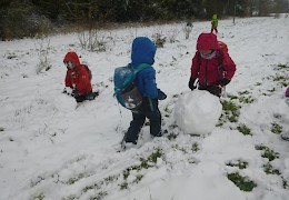 Auf dem Weg in den Wald entstehen viele, viele Kugeln.
