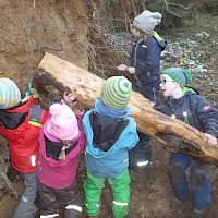 Ein hohler Baumstamm dient den Bergarbeitern als Rutschbahn.