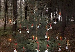 Das Christkindl kam auch im Wald vorbei...